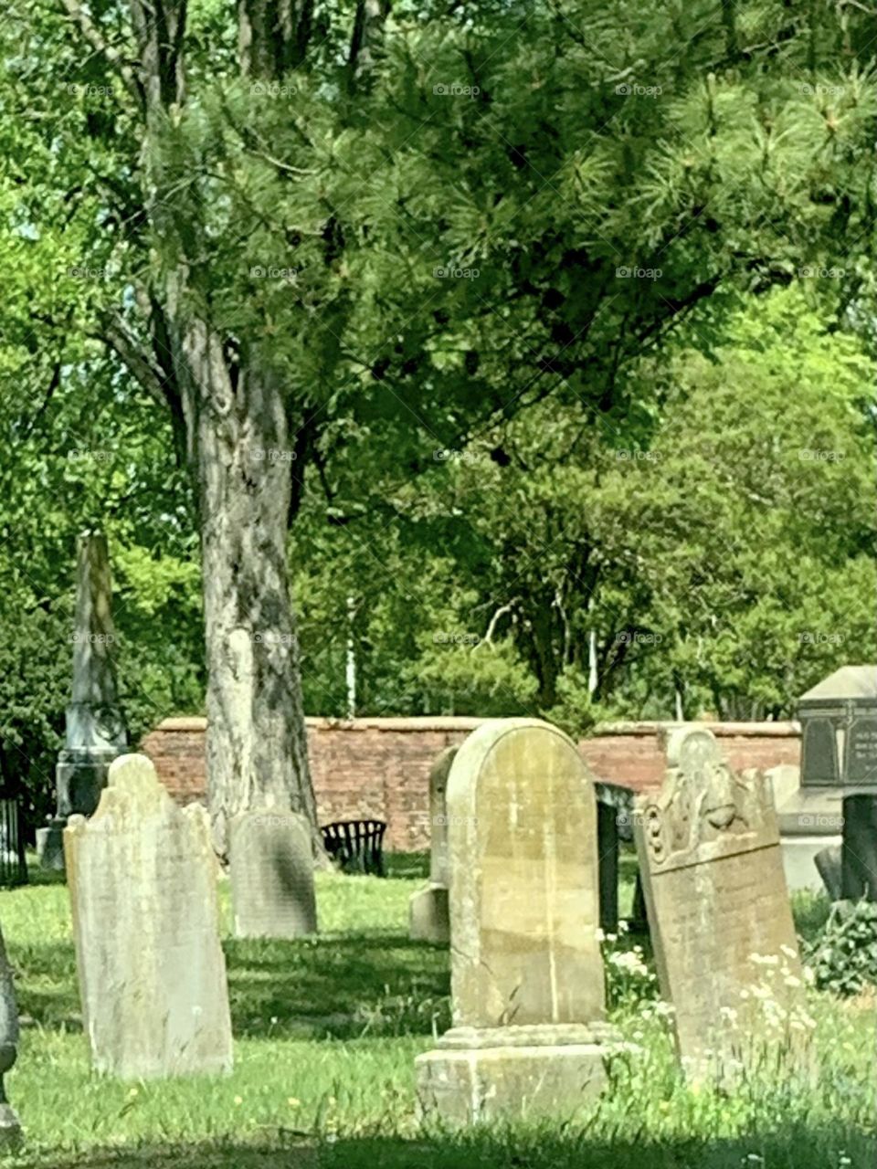 Old graveyard 