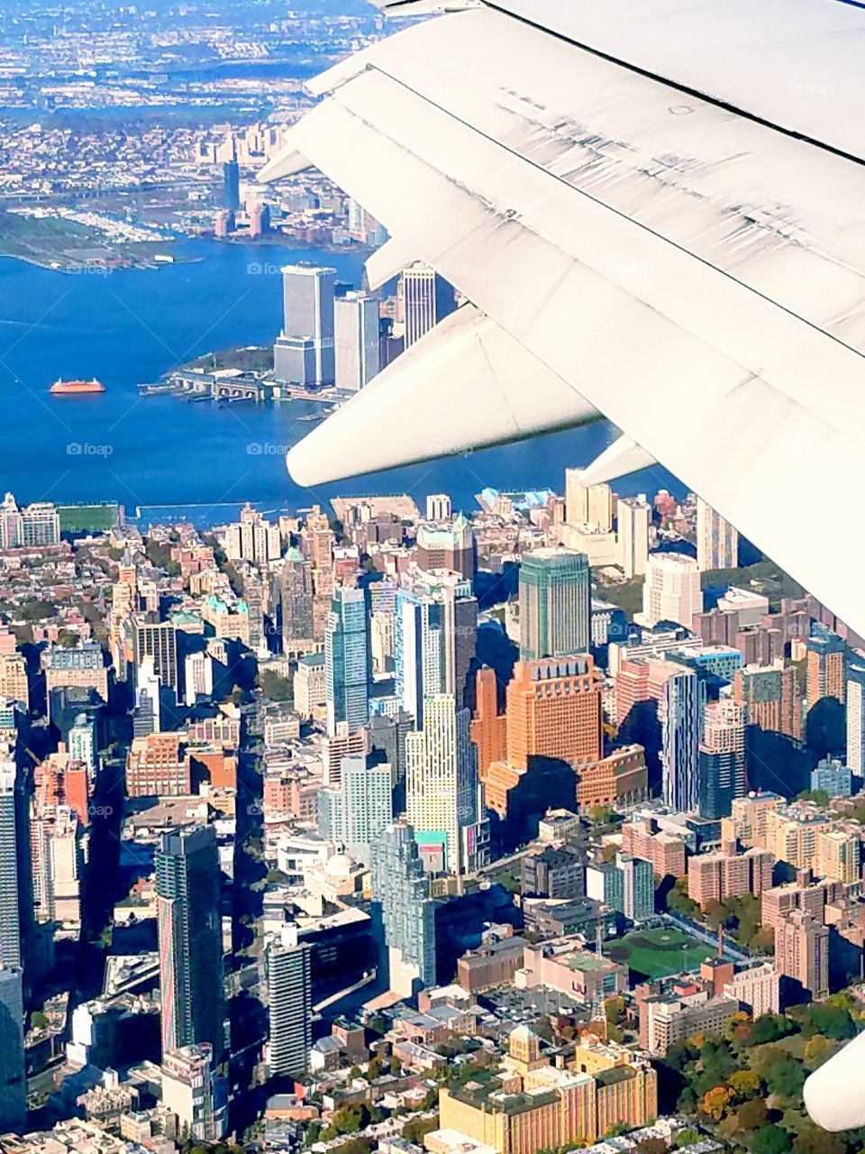 Wings over Manhattan