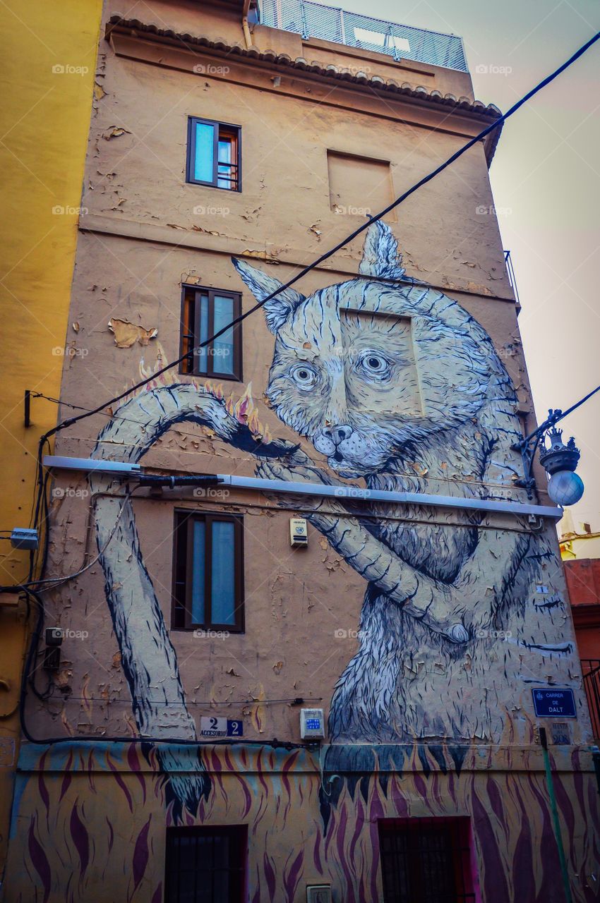 Arte Urbano, Calle Alta (Valencia - Spain)