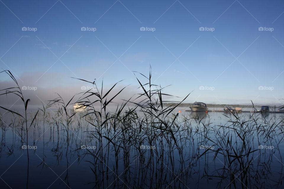 Foggy mornings