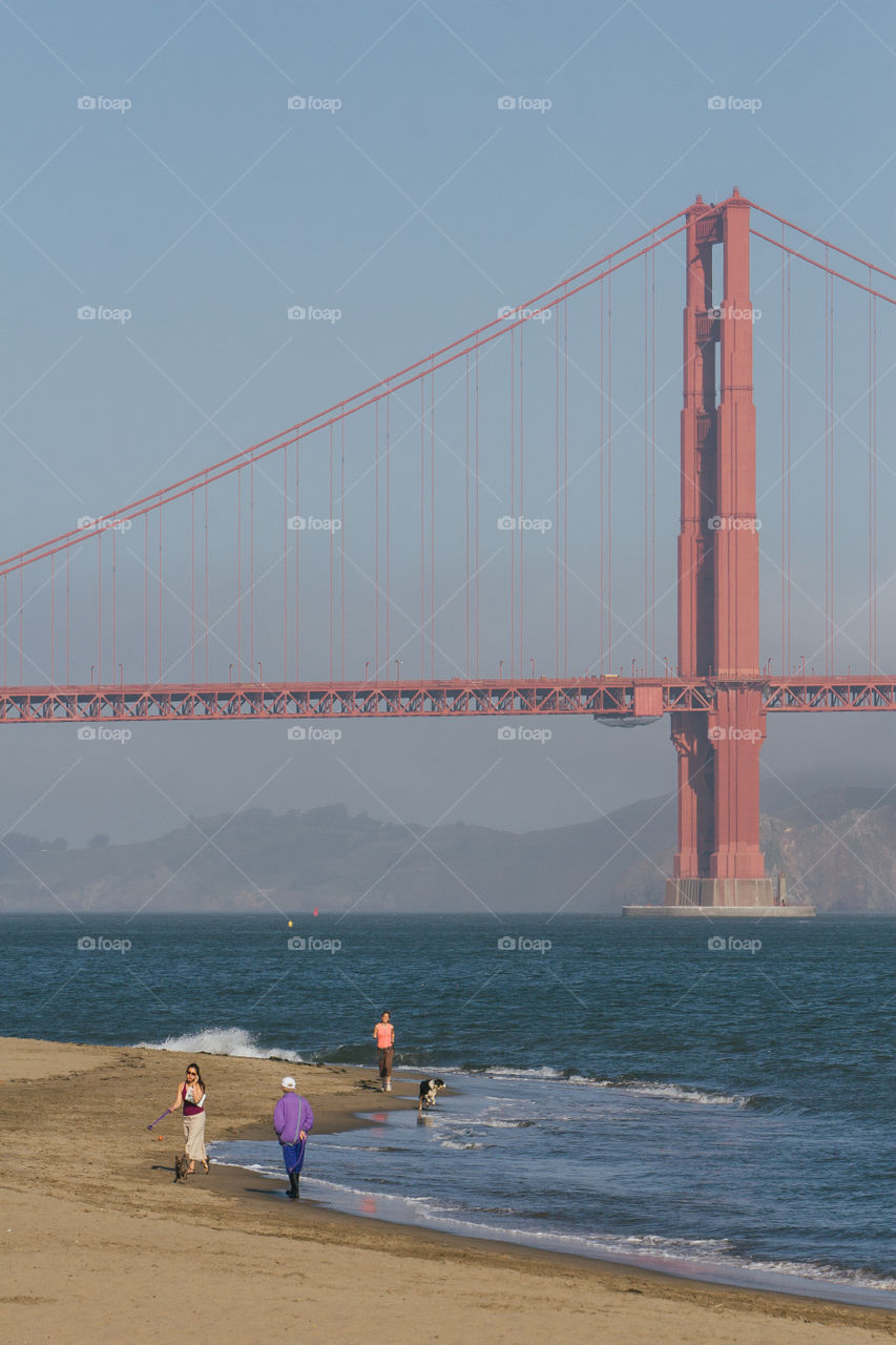 People out for a jog with their dogs on the beach by Golden Gate Bridge 