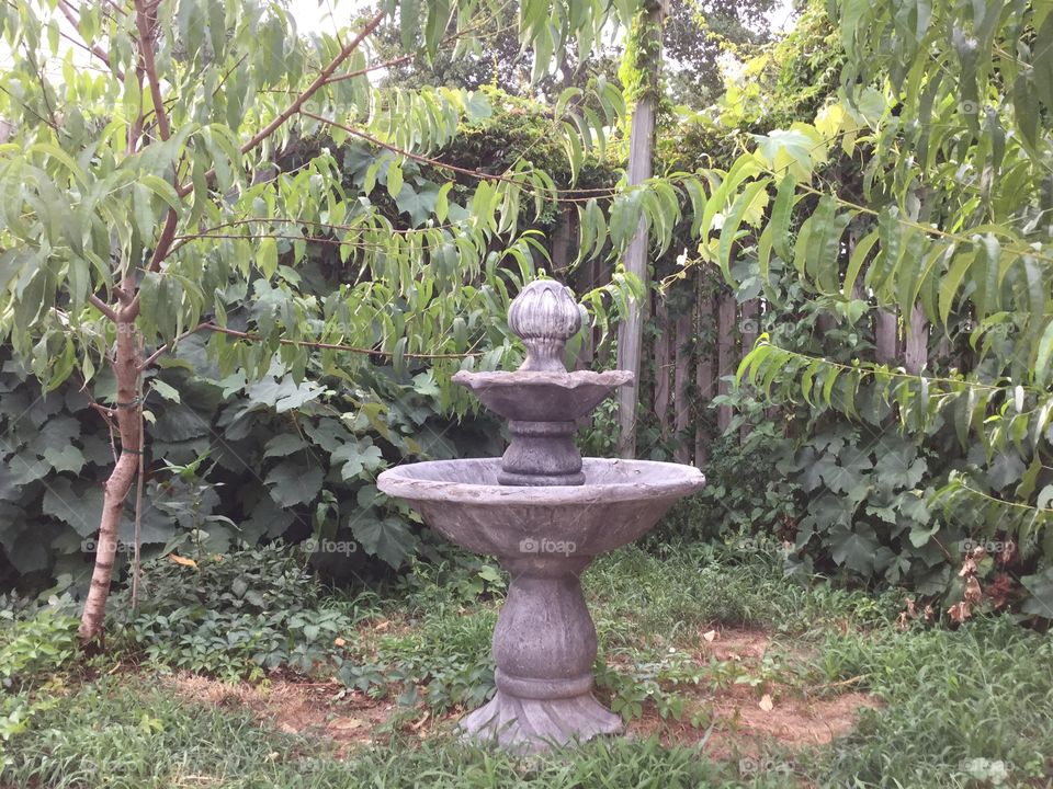 Old Garden Fountain 