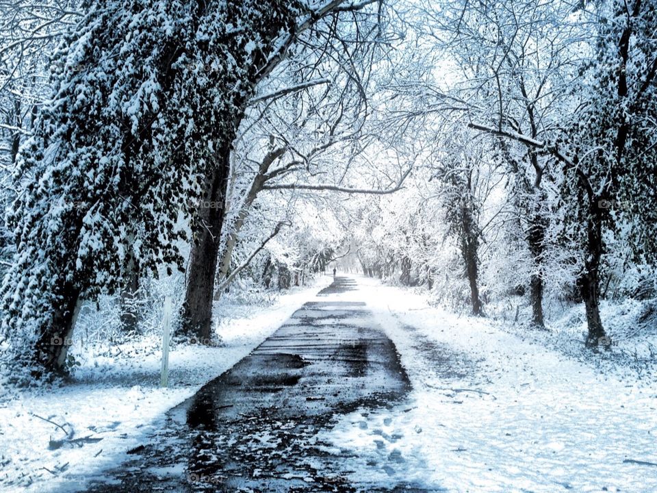 View of snowy road in winter