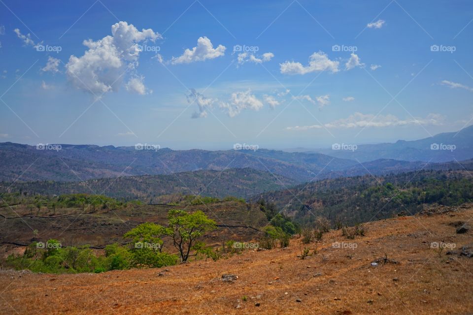 impact of long dry season in Timor Tengah Selatan of Nusa Tenggara Timur of Indonesia