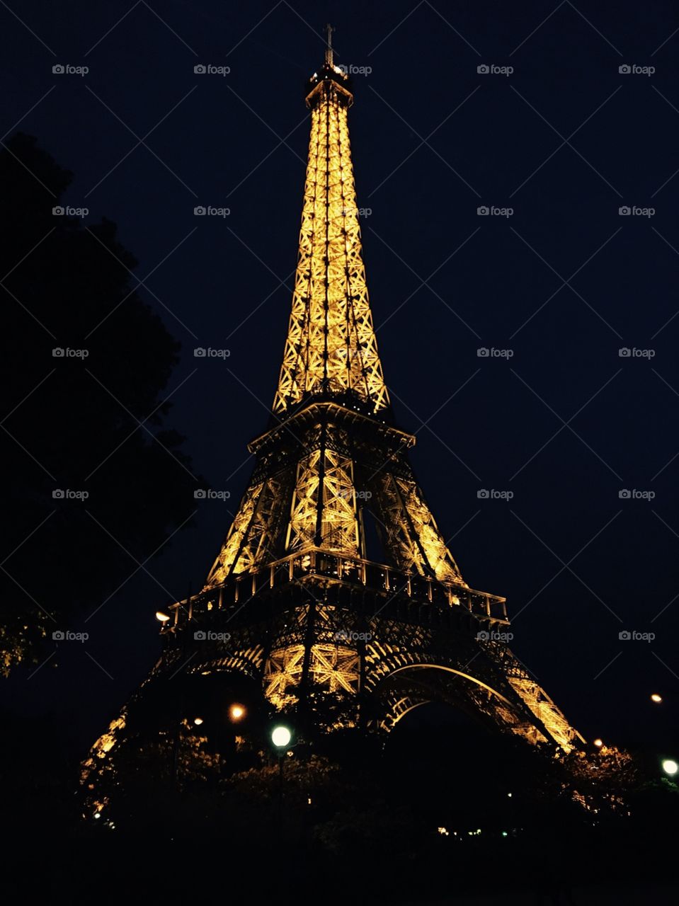 Eiffel Tower at night with tree silhouette against the dark blue sky. 