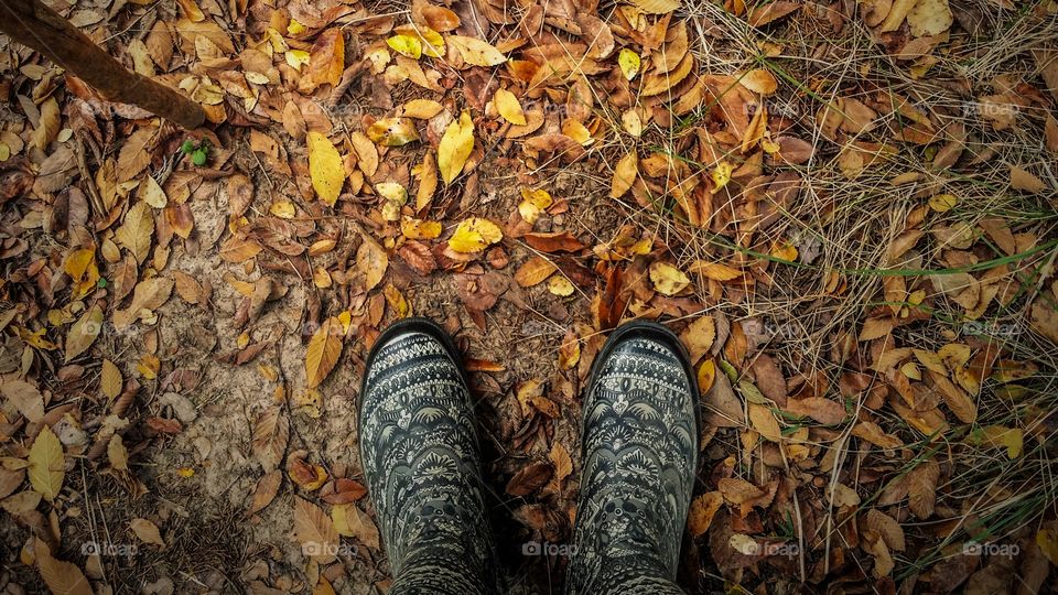 Mud boots walking on yellow fall leaves on a wet autumn morning from above from A to B