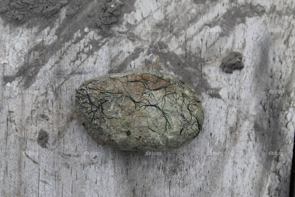 small textured mossy rock