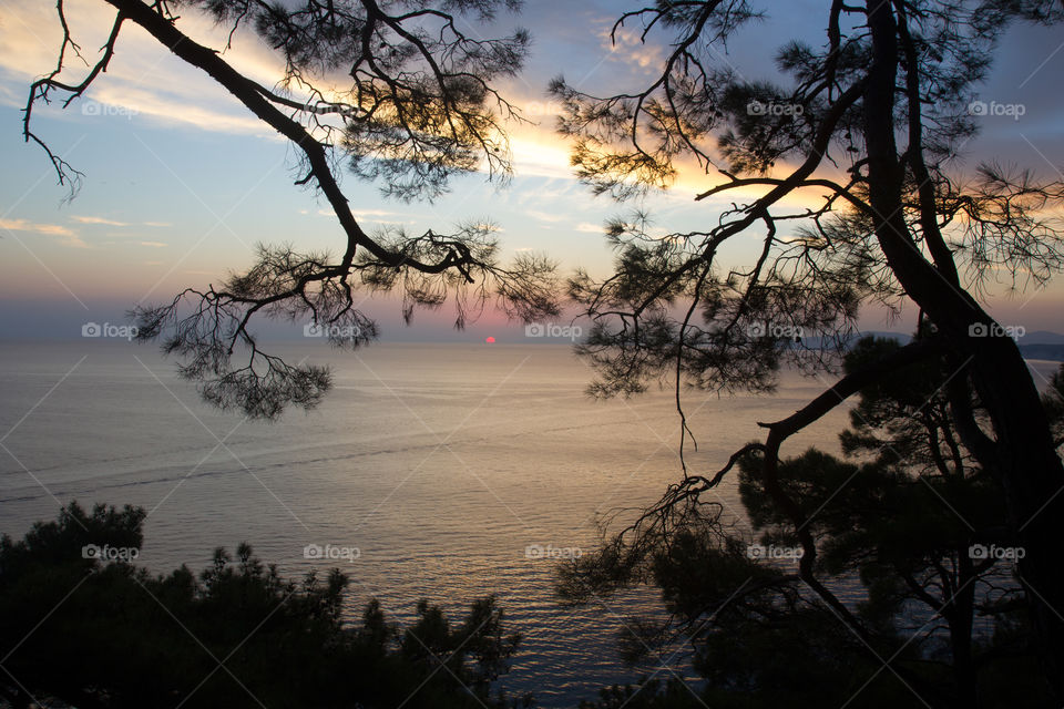 Dark branches of trees at a beautiful colorfully sunset high above the sea