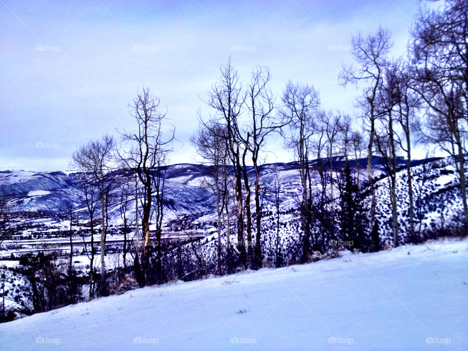BEAVER CREEK