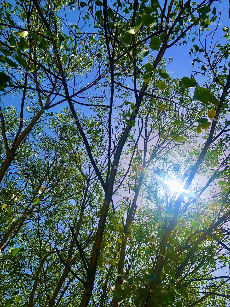 Upload the photo of the month April