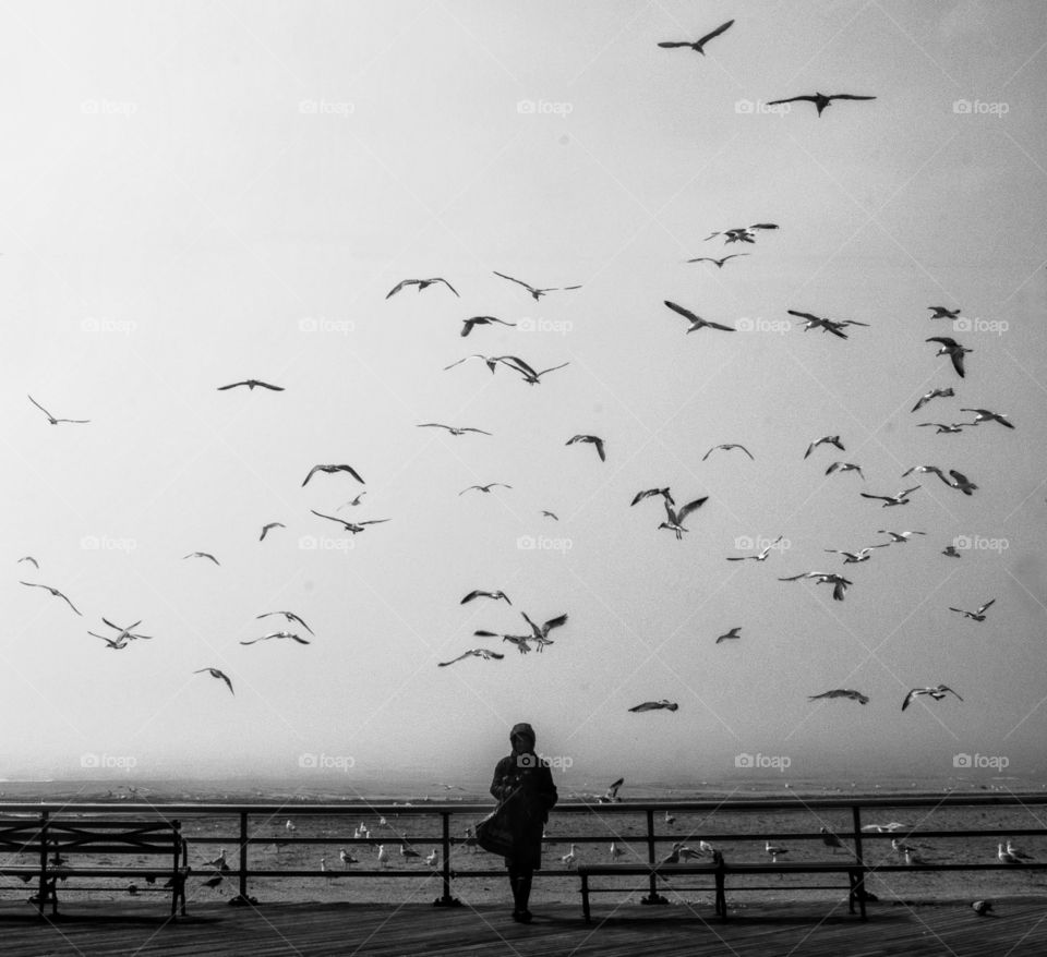 boardwalk