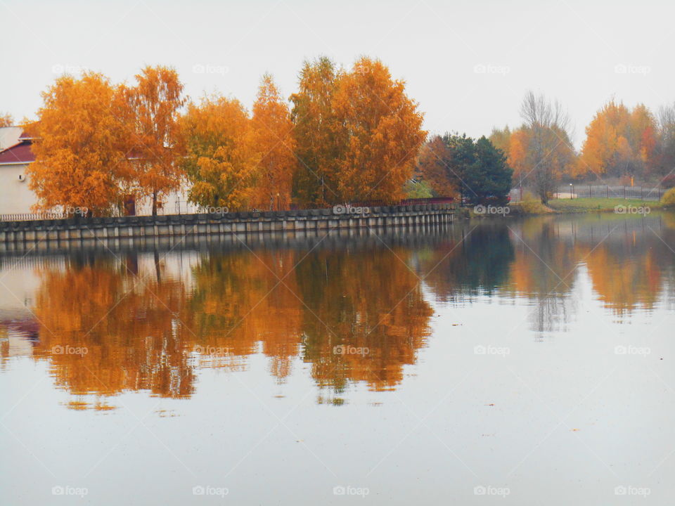 autumn lake