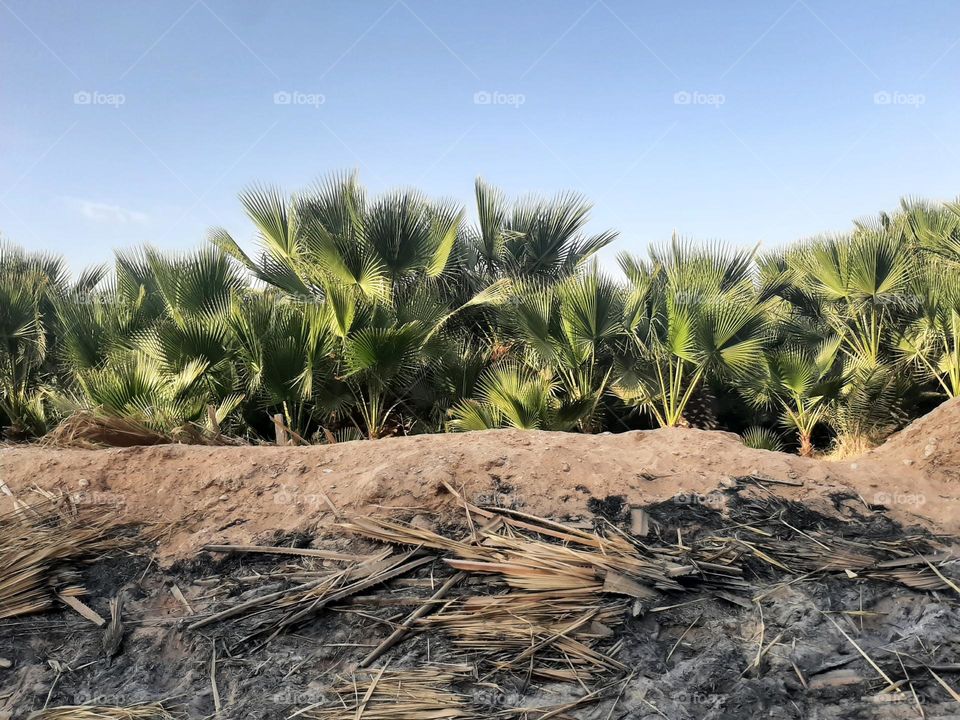 Please make me happy, I am poor, I need your help with support