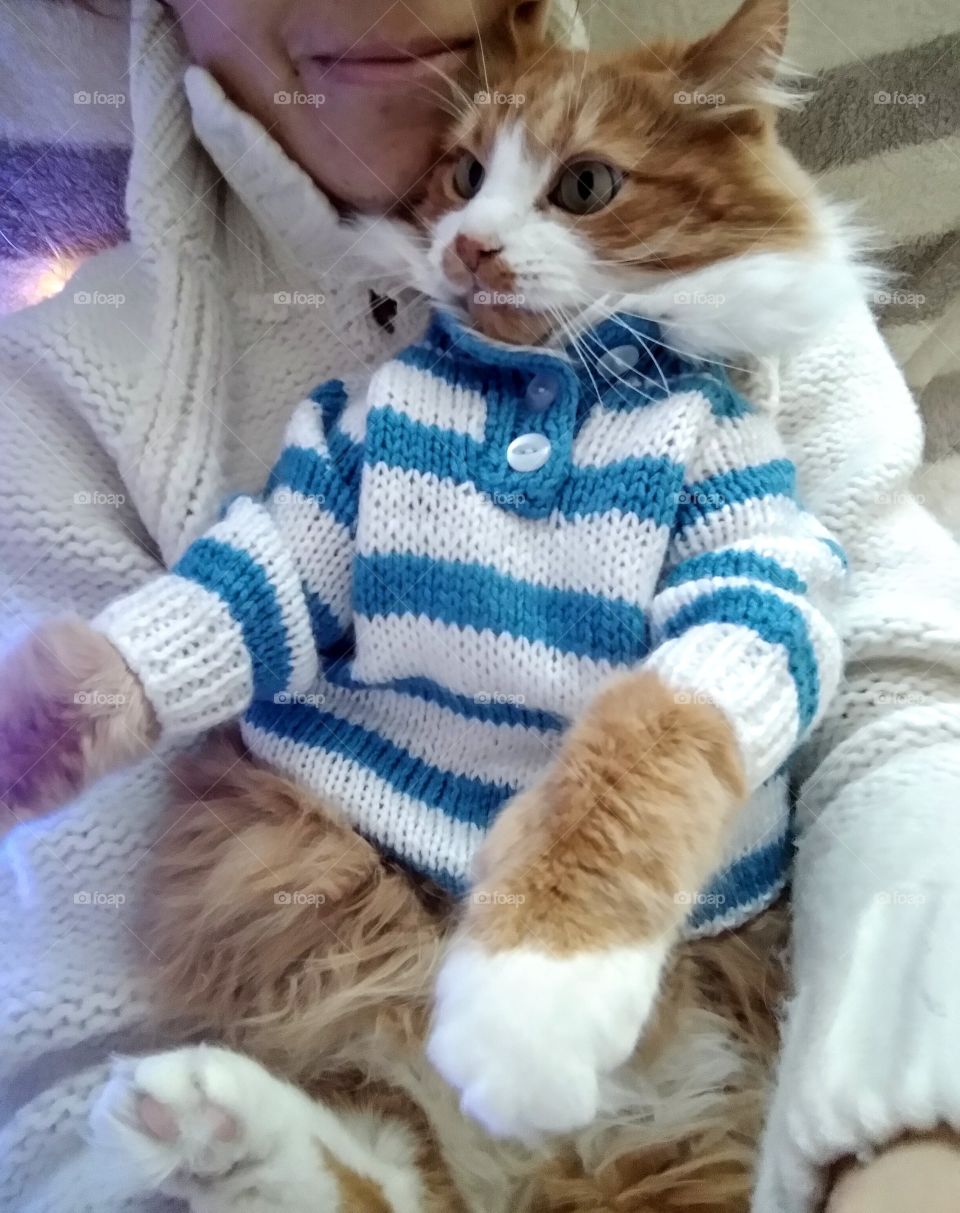 selfie girl with cat pet in the sweater