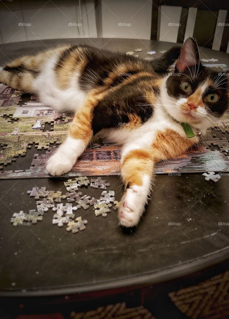 Caught in the act of playing in the puzzle.