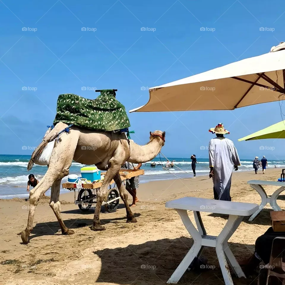 CAMEL