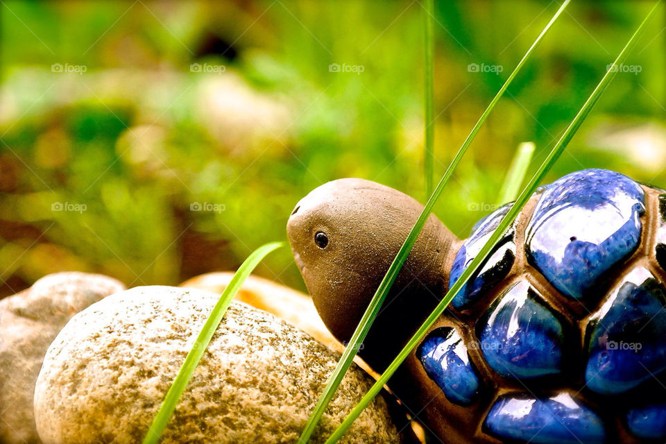 blue outdoors grass ornament by razornuku