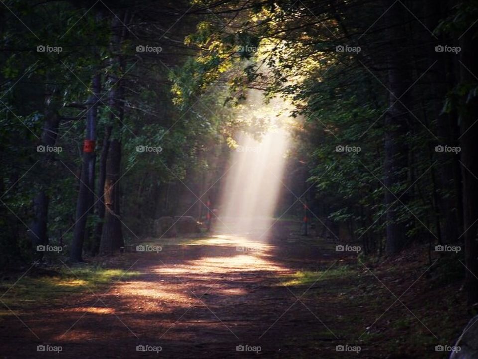 Local rail trail bike path