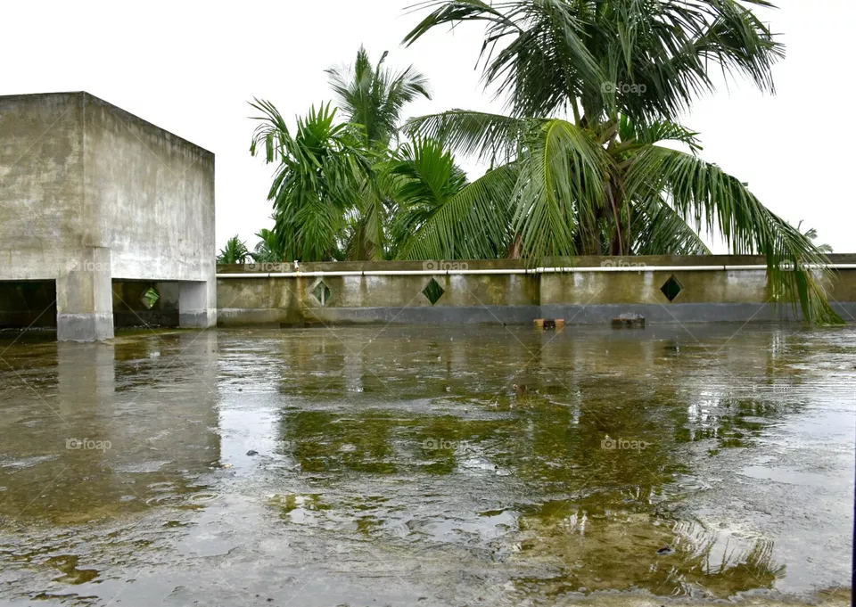 rainy day