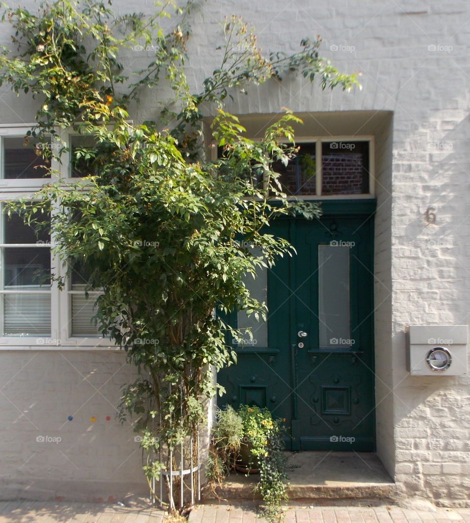 Doors of Lüneburg. collection of doors