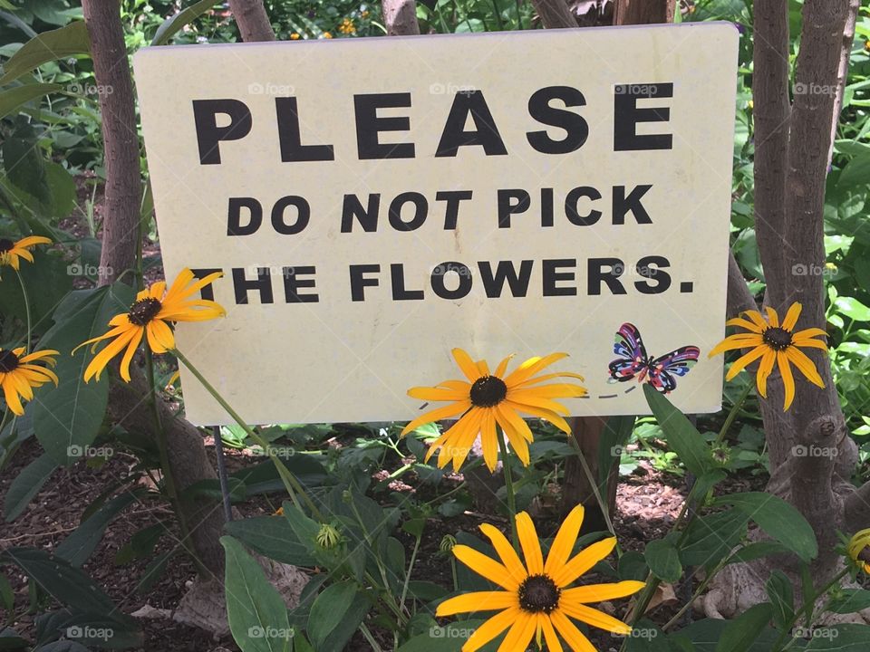 Please do not pick the flowers sign.