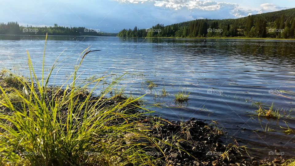 Beautiful light on the lake!