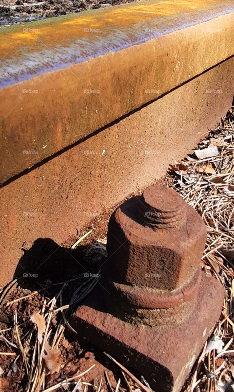 lovely color interesting consept