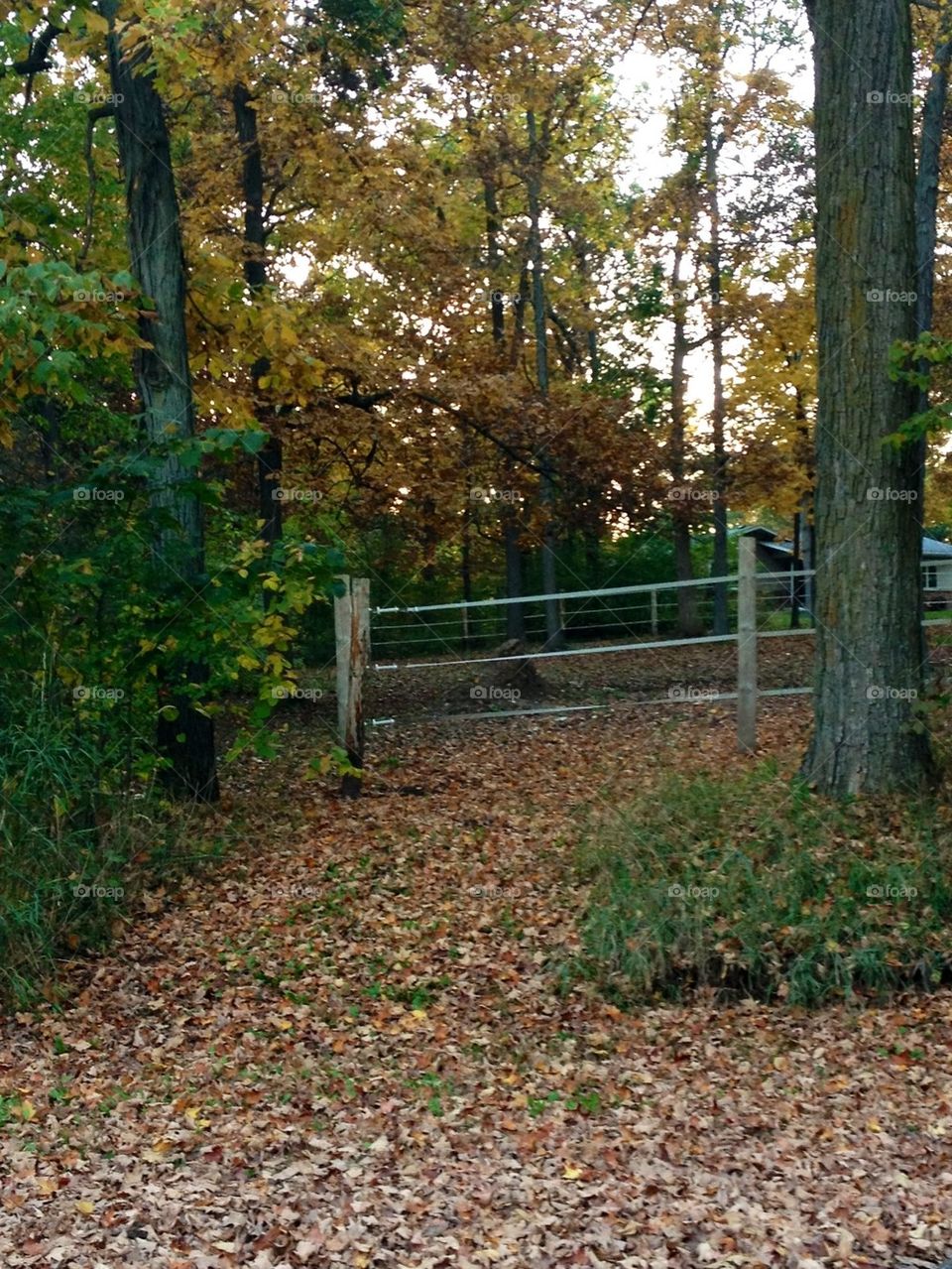 Taking in the fall season