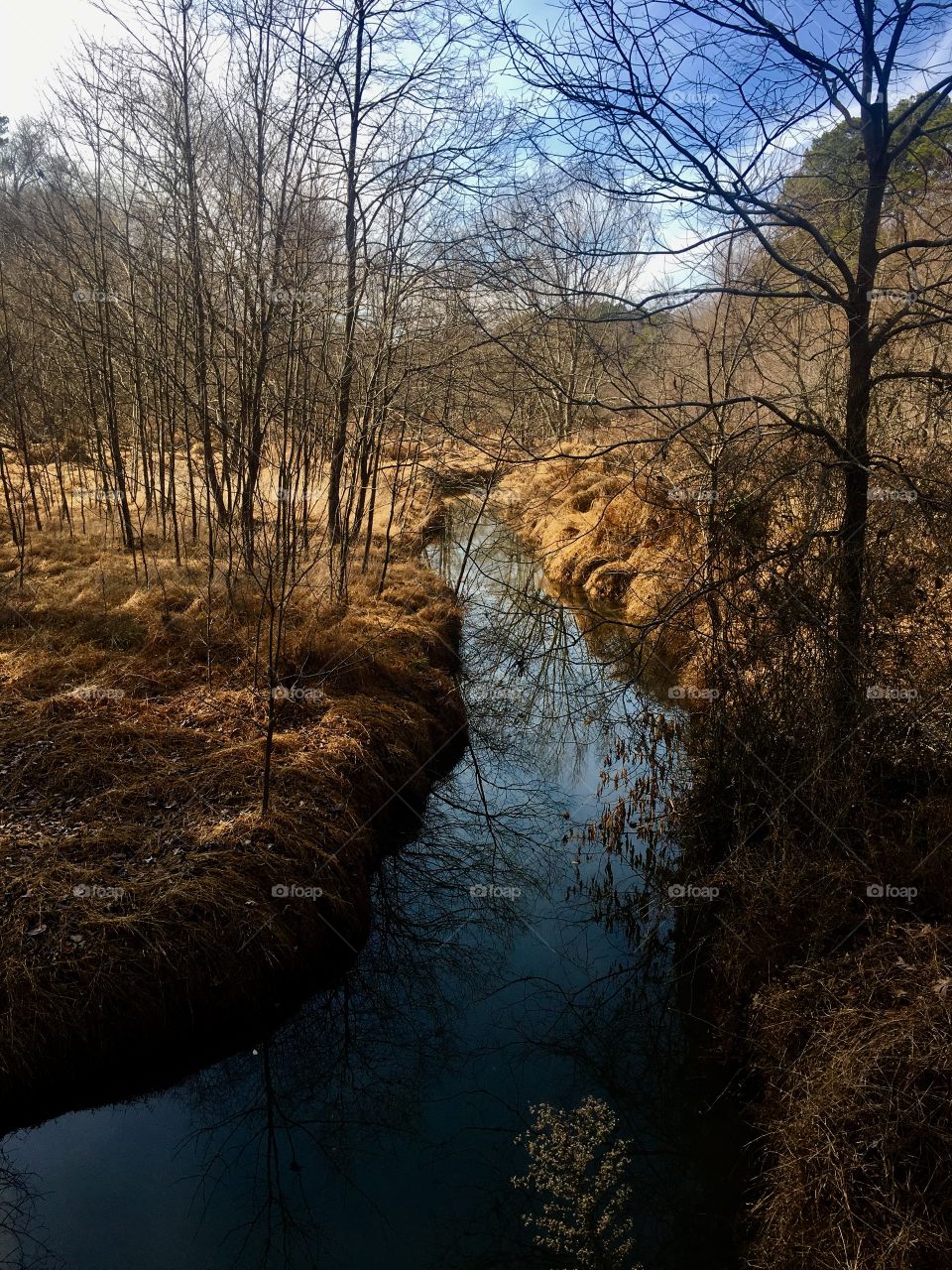 Little creek in late fall