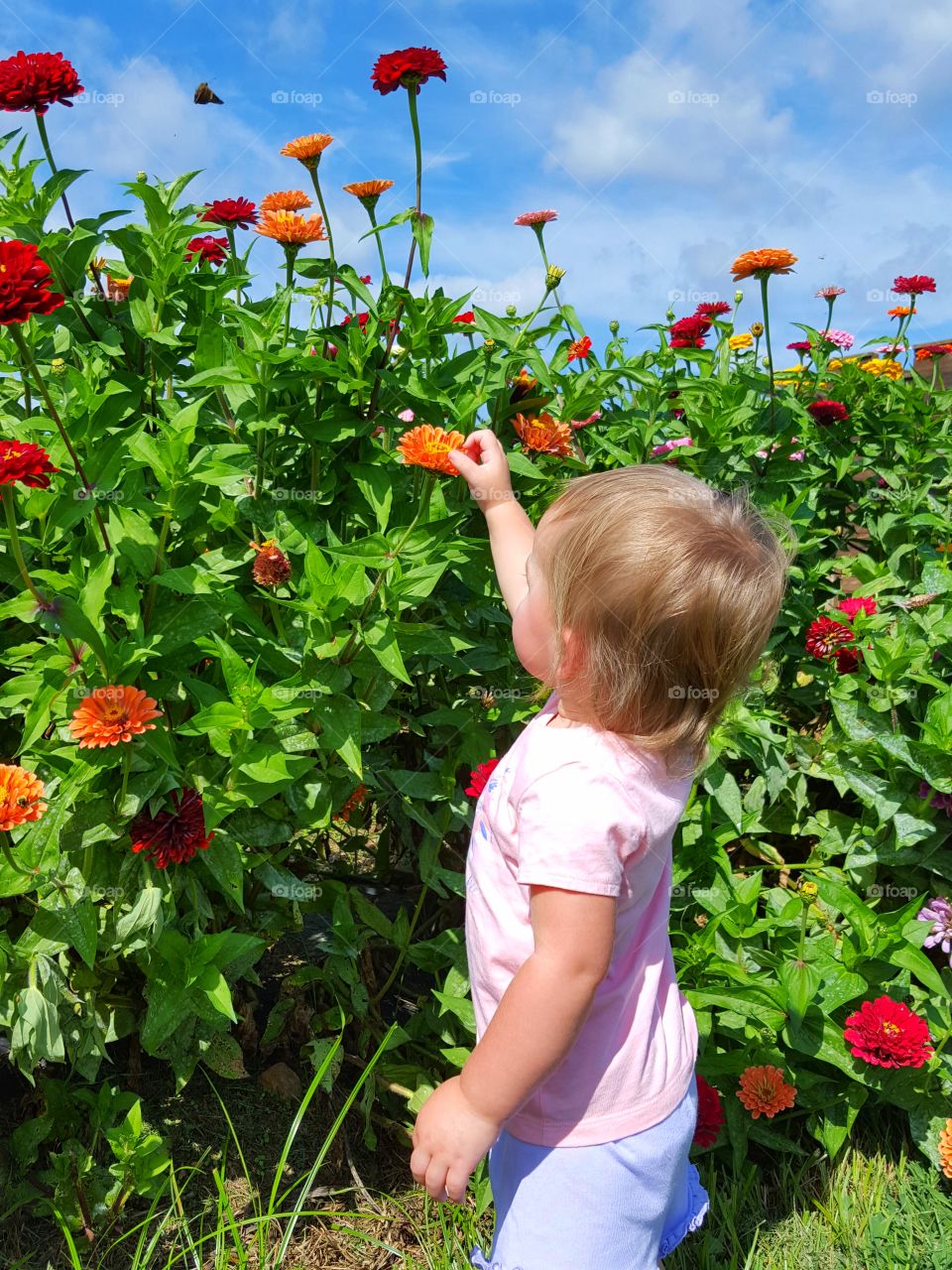 Picking flowers for Mama