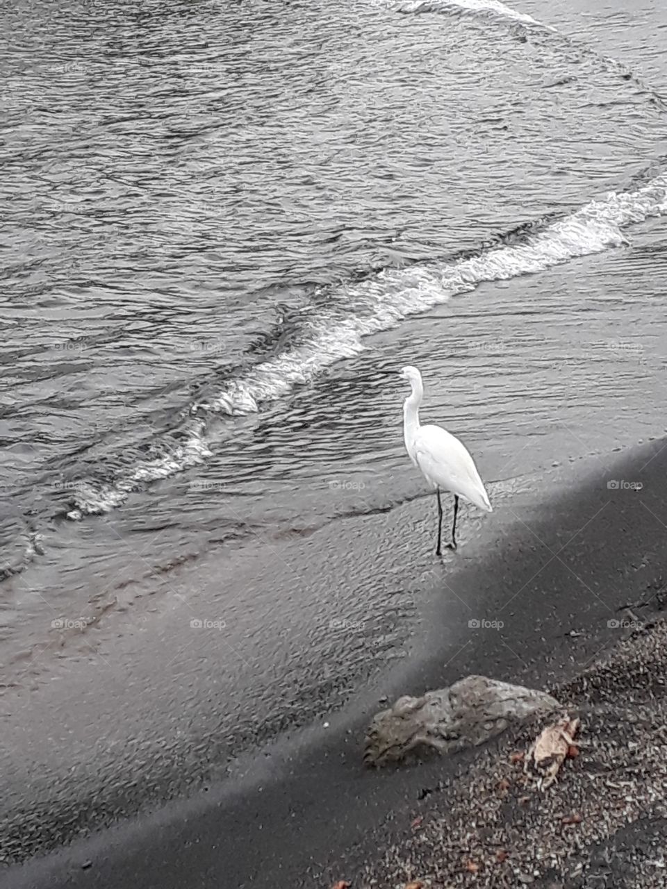 Lake Victoria the 3rd Largest Fresh Water Lake in the World