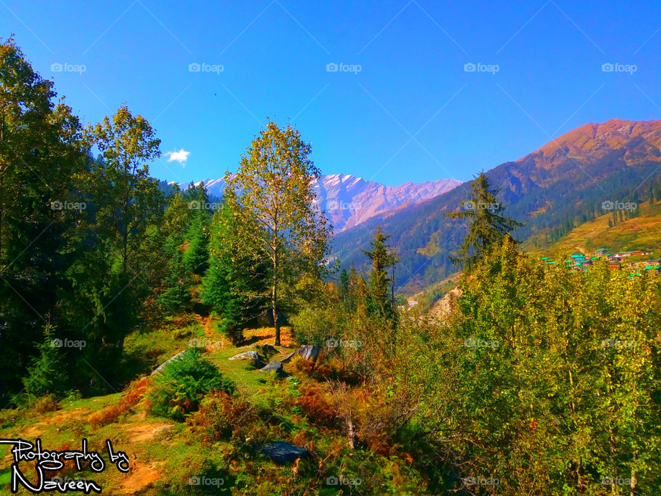 view from solang valley
