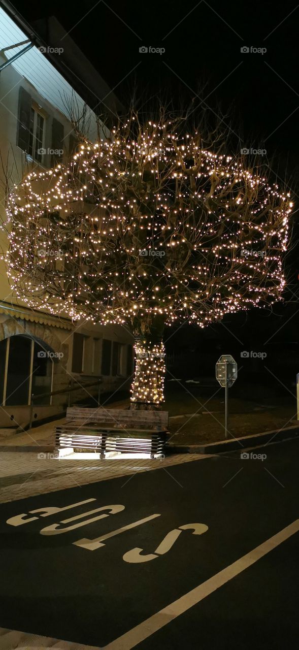 aRBRE LUMINEUX à château d'oex