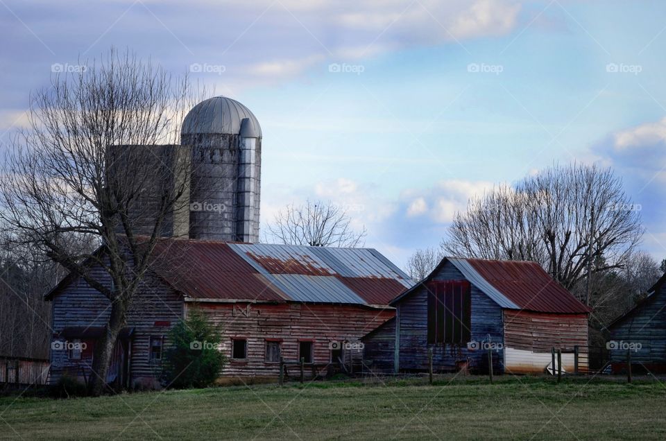 farm in february