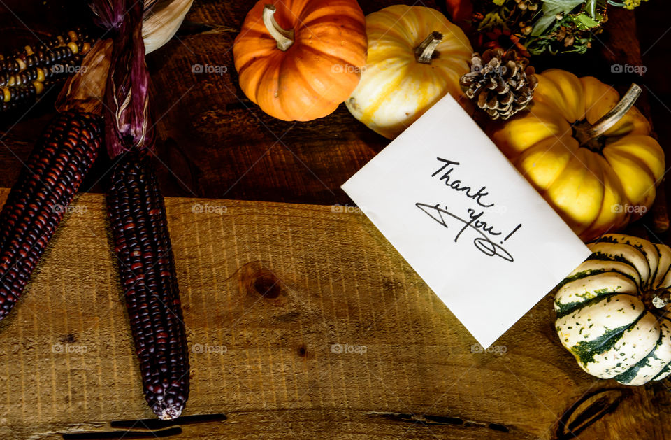 Thanksgiving Thank You Card with fall autumn harvest pumpkins in abundance and hand written note of thanks to express gratitude with room for copy and thanksgiving wishes 