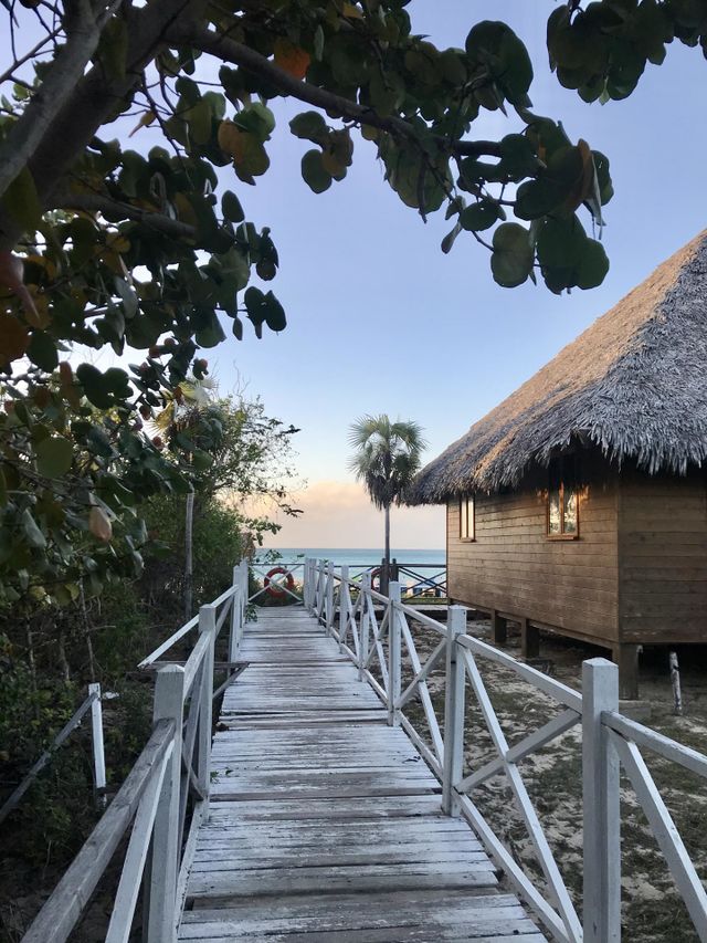 The way to the see 