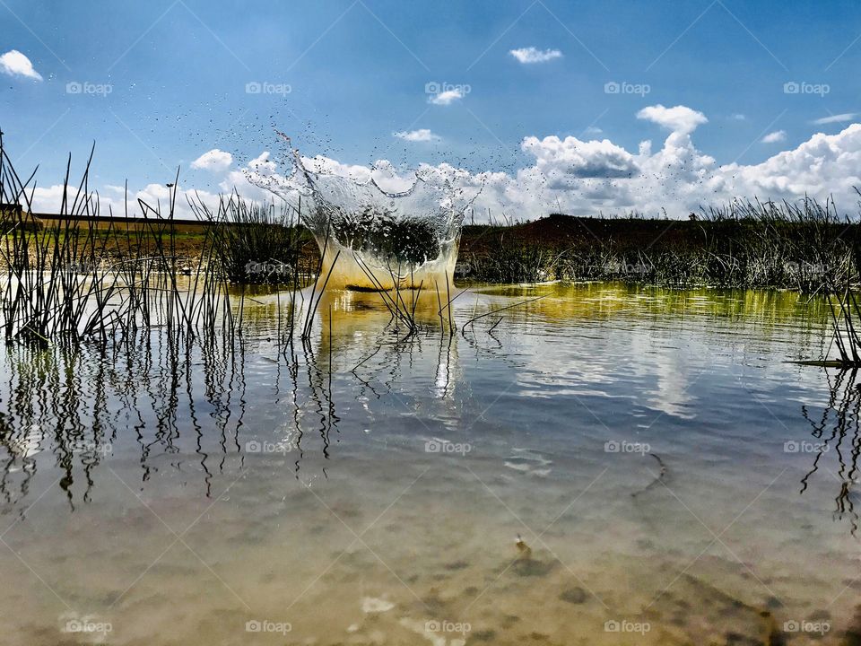 water sky Tranquility lake Reflection Plant beauty in Nature cloud - sky tranquil scene Nature scenics - nature no people day