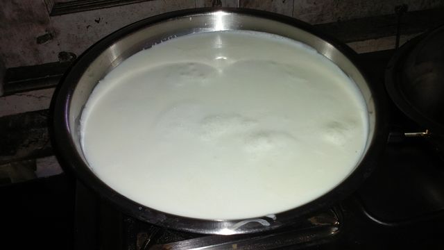milk