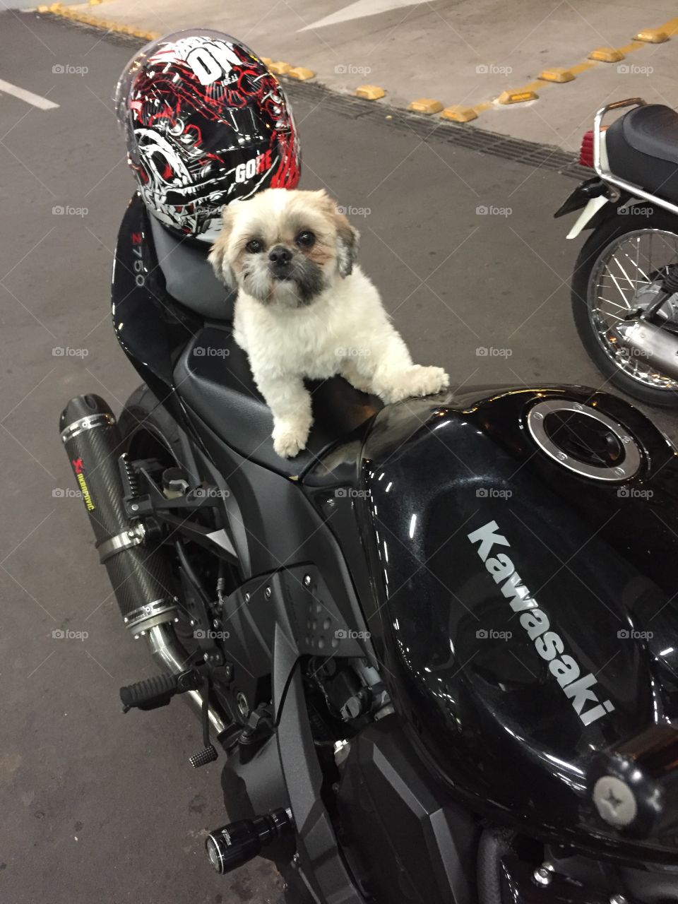 She loves a bike 