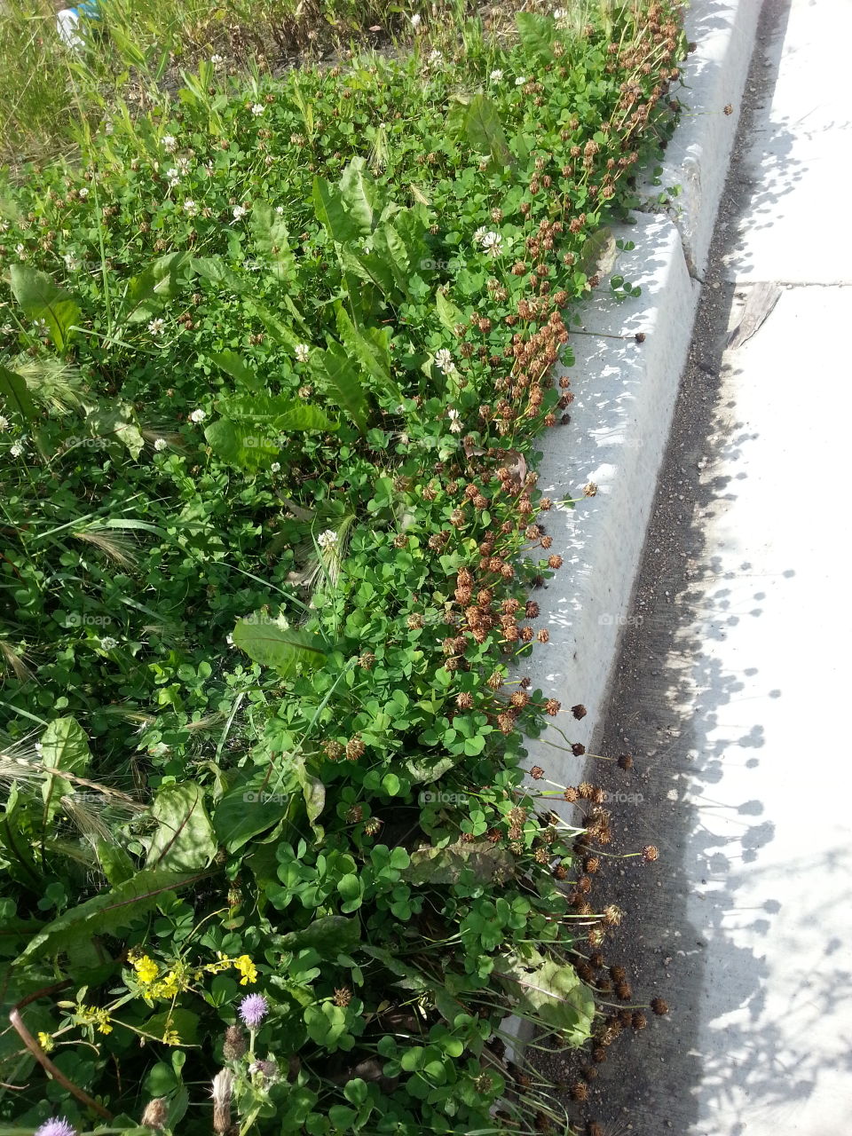 Walking along the path