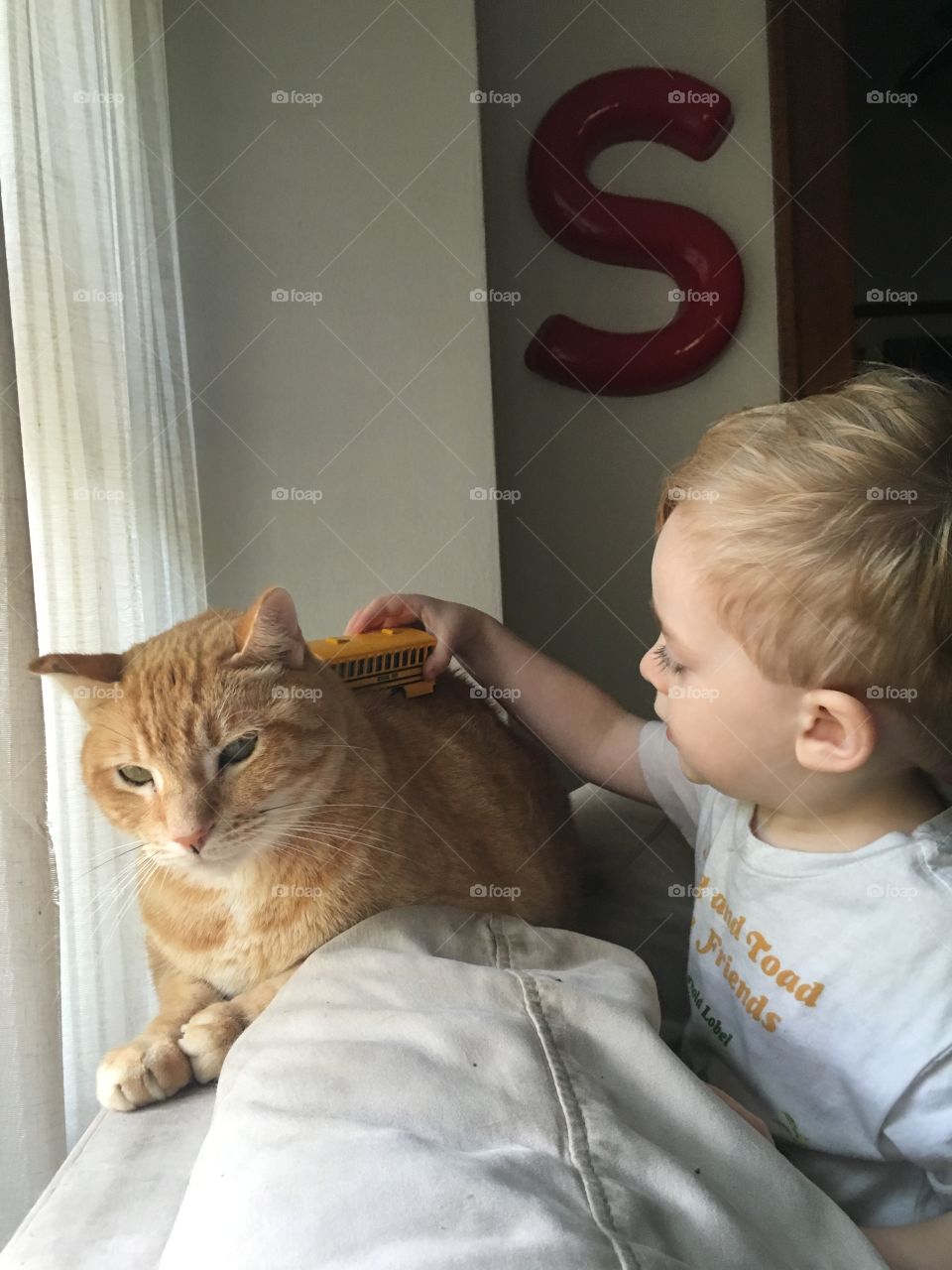 Orange cat and toddler 
