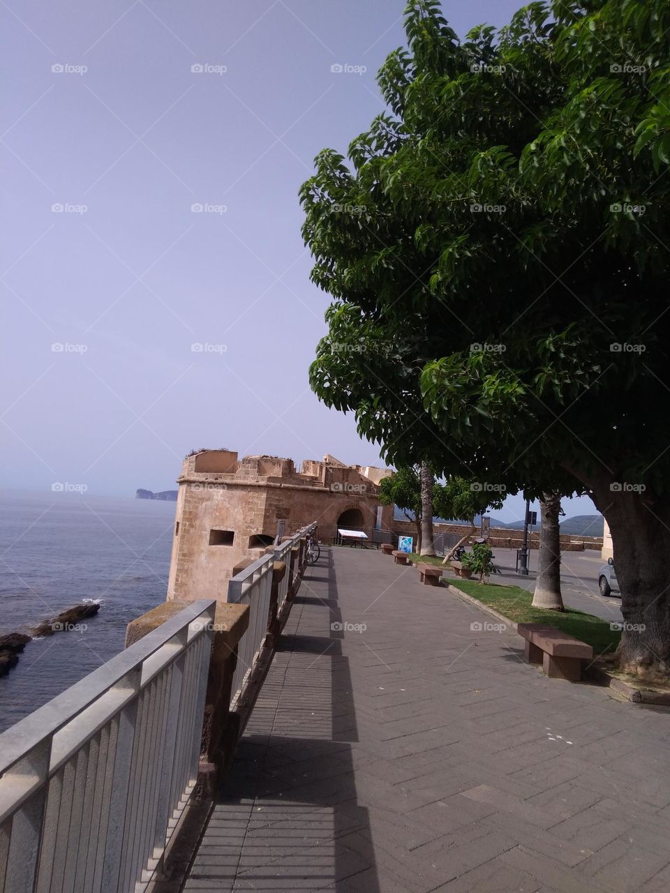 Best of 2021: Nature