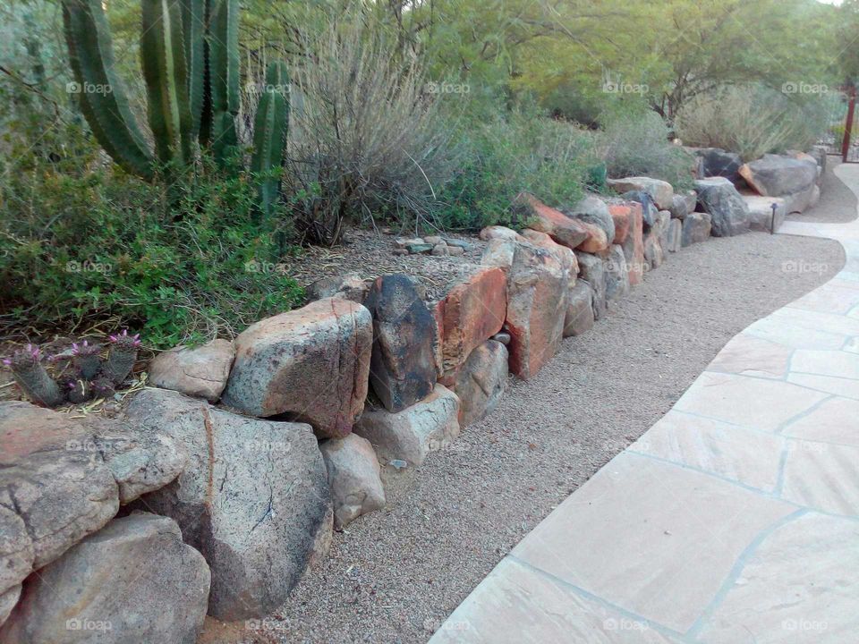 Desert landscape along a natural stone wall in Paradise Valley Arizona.