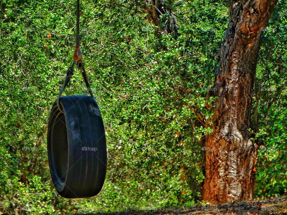 Backyard Tire Swing
