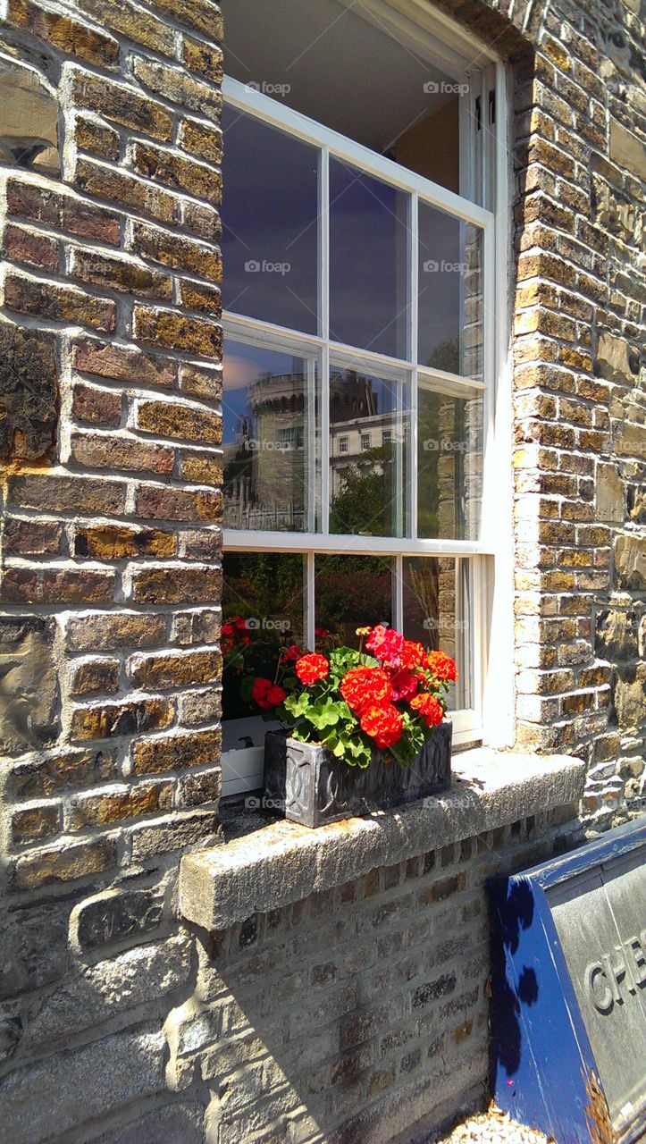 castle reflection, geraniums in Window