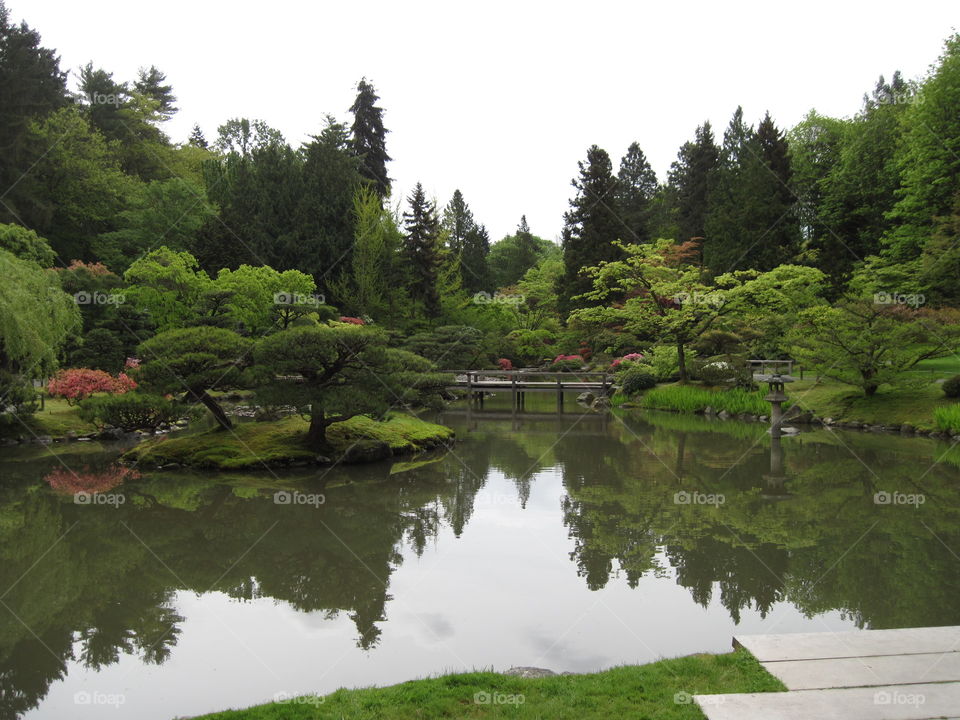 garden reflection over lake