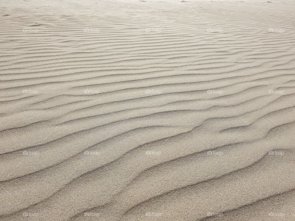 Beach sand Form dune