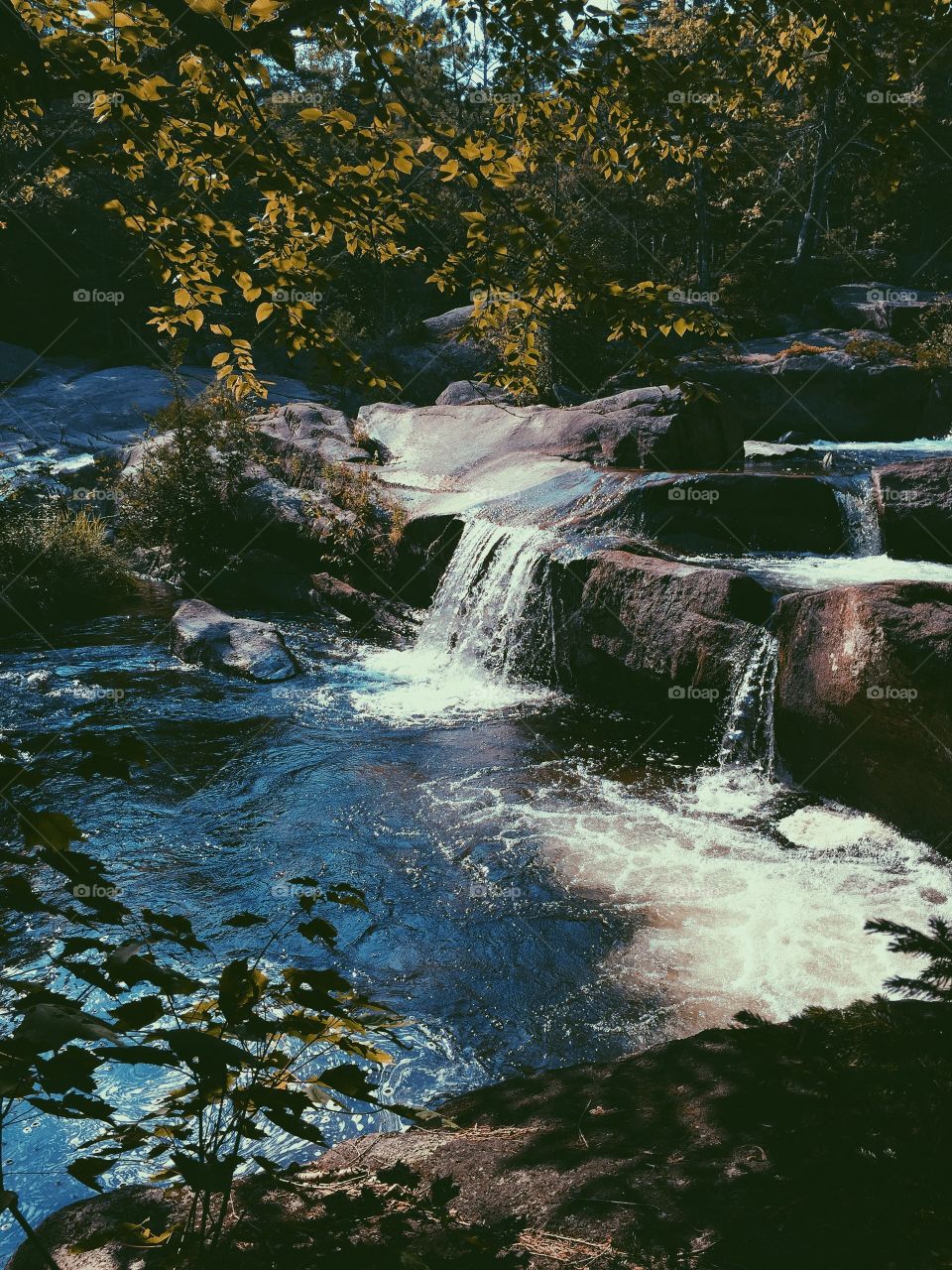 Finding a little paradise