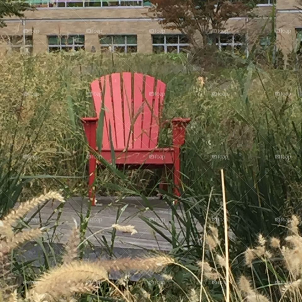 Seat, No Person, Chair, Summer, Wood