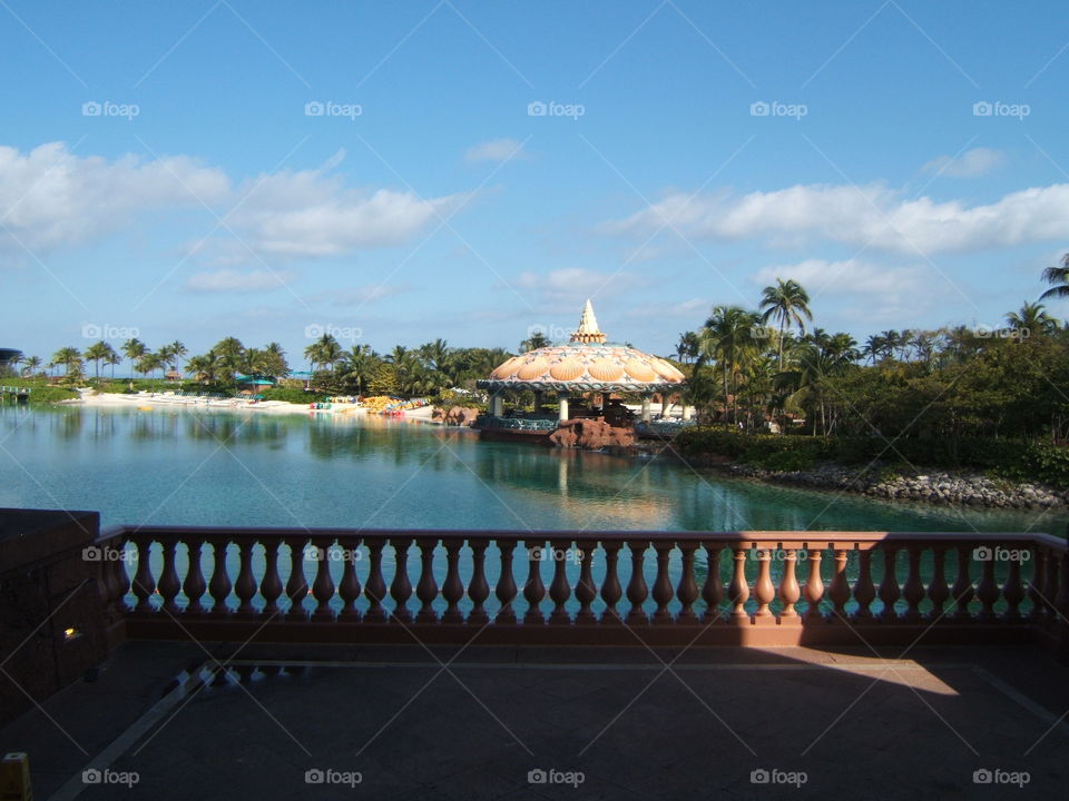 Scenery of the oasis outside of the Atlantis Resort in Bahamas